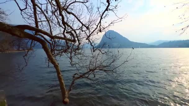 モンテサンサルバトレアとルガーノ湖の夕日とシアニ公園 ルガーノ スイスのシカモアの枝を広げる — ストック動画