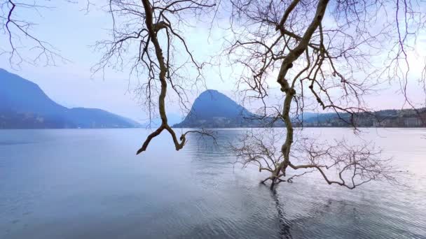 Lugano Gölü Seti Monte San Salvatore Manzaralı Yayılmış Çınar Dallarının — Stok video