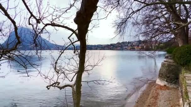 ルガーノ湖とモンテサンサルバトーレ湖のタイムラプス シアニ公園 ルガーノ スイスの広がったシカモアの枝を通して — ストック動画