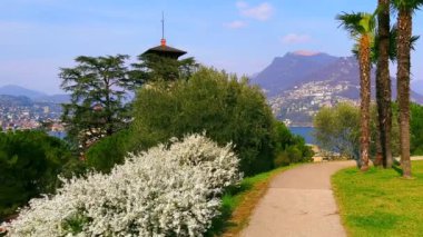 Güzel yeşil Parco Paroramico Paradiso parkı çiçek açan çalılar, uzun palmiyeler ve gür çamlar, İsviçre