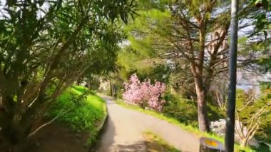 Parco Panoramic Paradiso 'nun yemyeşil baharı boyunca yürü Castello Cattaneo kulesi ve Monte Bre arka planda, Paradiso, İsviçre