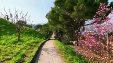 Parco Panoramico Paradiso Parkı 'nın dolambaçlı geçidinde yeşil çimenler, çam ağaçları, çiçek açan manolyalar ve kamelyalar, Paradiso, İsviçre