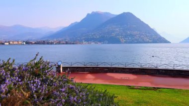 Lugano Gölü 'nün arkasındaki puslu Monte Bre' nin önünde Riva Paradiso seti üzerinde çiçek açan biberiye, Lugano, İsviçre