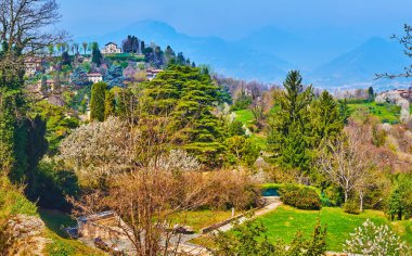 Monte Bastia with vintage houses and green gardens behind the spruces and blooming spring trees on the slope of San Vigilio Hill, Bergamo, Italy clipart