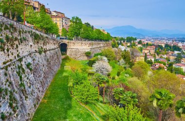 The lush green park with flowering spring trees and bushes at the foot of Venetian Walls of Citta Alta, Bergamo, Italy clipart