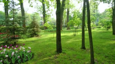 KYIV, UKRAINE - 18 Mayıs 2021: Taras Shevchenko Parkının panoramik manzarası, lale çiçeği yatakları, çimenler, yüksek ağaçlar, sokak boyunca ahşap banklar ile süslenmiş, Shevchenko anıtı arka planda 18 Mayıs 'ta Ukrayna' nın başkenti Kyiv 'de görüldü.