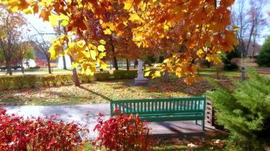 Parkta parlak sarı ve kırmızı sonbahar bitkileriyle çevrili yeşil bankın önündeki güneşli sokak.