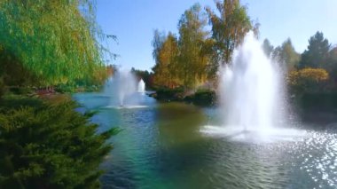 The bright sunshine on the fountain amid the lake in autumn park, surrounded with green willows, yellow birches and junipers, Mezhyhirya, Ukraine