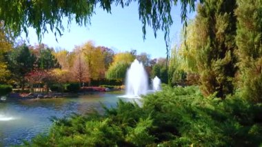 Panoramic view of the lake with fountains, junipers, willow trees, yellow autumn birches in background, Mezhyhirya, Ukraine