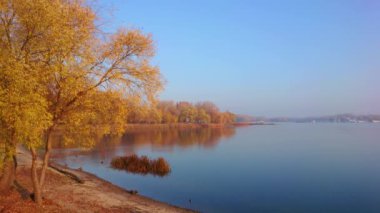 The yellow trees of autumn park on embankment of Dnieper River, reflecting the blue sky and colored plants, Kyiv, Ukraine