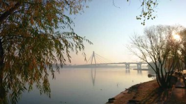 Enjoy the hazy sunrise on the Dnieper River with a view on the autumn willow tree and Pivnichnyi (Northern) Bridge in background, Kyiv, Ukraine
