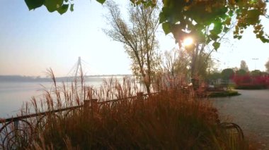Dinyeper Nehri 'ndeki Natalka Parkı' nda sisli sonbahar gündoğumunun tadını çıkarın. Kuru sarı çimen çalıları, ıhlamur yeşil dalları, arka planda sisli Pivnichnyi Köprüsü, Kyiv, Ukrayna