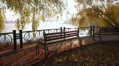 Dinyeper Nehri 'nin gölgeli seti, gür sarı söğütler rüzgarda sallanıyor, yere düşen yapraklar, ahşap banklar, Obolon, Kyiv, Ukrayna