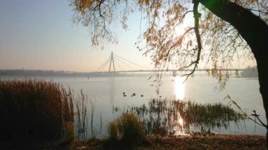 The silhouettes of dry reeds on Dnieper River and Pivnichnyi (Northern) Bridge on sunrise, Kyiv, Ukraine