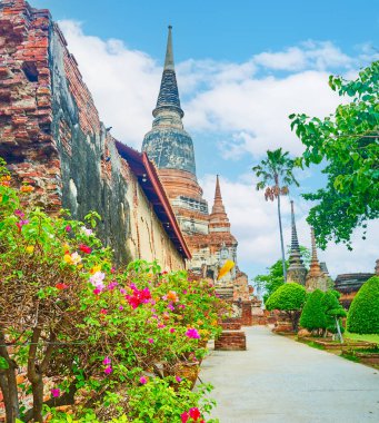 Wat Yai Chai Mongkhon kompleksini ziyaret edin. Korunmuş Ubosot, çedis ve türbelerle, Ayutthaya, Tayland