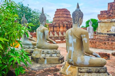 Wat Yai Chai Mongkhon Tapınağındaki Buda heykelleri dizisi, Ayutthaya, Tayland