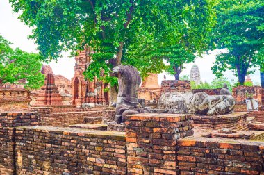 Ayutthaya, Tayland 'daki Wat Mahathat arkeoloji kompleksindeki antik tapınağın kalıntıları.