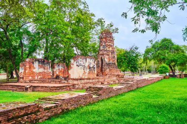 Ayutthaya, Tayland 'daki Wat Mahathat kompleksindeki korunmuş antik tapınak.