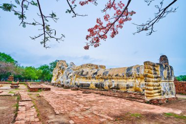 The large statue of Reclining Buddha of Wat Lokaya Sutha in Ayutthaya, Thailand clipart