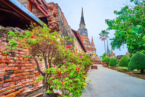 Wat Yai Chai Mongkhon kompleksini ziyaret edin. Korunmuş Ubosot, çedis ve türbelerle, Ayutthaya, Tayland