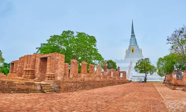 stock image Visit ancient Wat Phukhao Thong temple with its high white Chedi, Ayutthaya, Thailand