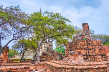 Wat Phra Si Arkeoloji kompleksi, Ayutthaya, Tayland tuğla kalıntıları olan gölgeli yeşil park.