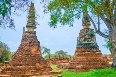 Wat Phra Si Arkeoloji kompleksi, Ayutthaya, Tayland tuğla kalıntıları olan gölgeli yeşil park.