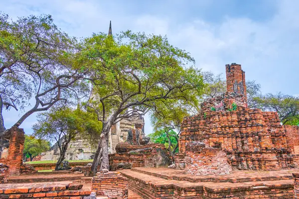 Wat Phra Si Arkeoloji kompleksi, Ayutthaya, Tayland tuğla kalıntıları olan gölgeli yeşil park.
