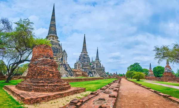 Ayutthaya, Tayland 'daki Wat Phra Si Santhe kompleks parkının kalıntıları