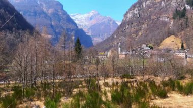 İsviçre, Ticino, Valle Verzasca 'da Lepontine Alpleri' nin ortasında yer alan tarihi Alp Sonogno köyünün önündeki küçük orman.