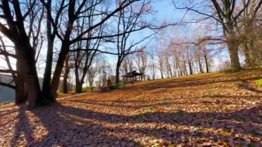 Kyiv Botanik Bahçesi, Ukrayna, Tibet Bahçesi, Chorten ve çardaklı uzun ağaçlar ve geniş yapraklı ağaçlar üzerinde kuru sonbahar yaprakları.