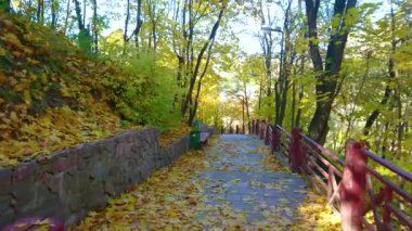 Tepeden aşağı in ve manzaralı sonbaharı keşfet Korosten, Ukrayna Drevlians Parkı