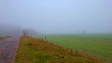 Puslu sonbahar havasında yeşil alanın panoramik görüntüsü, arka planda ağaçların siluetleri görülüyor