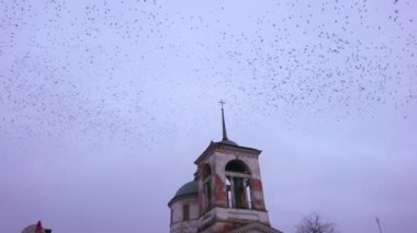 Ukrayna, Nizhyn 'deki Kutsal Üçlemeci Kilisesi' nin çan kulesinde akşam gökyüzünde kargalar sürüsünün tadını çıkarın.