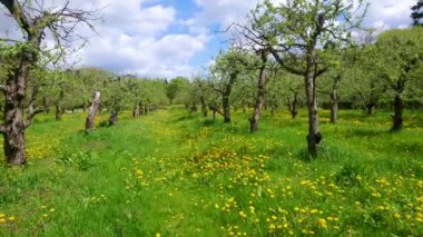 Ukrayna Expocentr (eski Michurin VDNH bahçesi), Kyiv