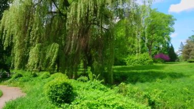 Bereketli yeşil park manzarası, taşkın ovası, harabeler Pavyonu ve botanik bahçesinde küçük bir şelale, Bila Tserkva, Ukrayna