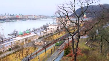 Castle Hill yamacındaki yüksek ağaçlar Buda Kalesi Çarşısı ve Tuna Nehri, Budapeşte, Macaristan 'ın ağaç bitkilerinin önünde.