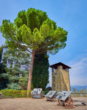 Antika topları, ortaçağ gözetleme kulesi ve Anma Parkı 'nın (Parco delle Rimembranze) kozalaklı kozalaklı ağaçları, Rocca di Bergamo kalesi, İtalya