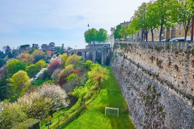 İtalya 'nın Bergamo (Citta Alta) Venedik Duvarları eteklerinde bulunan büyük bir parktaki çiçek açan ağaçlar.