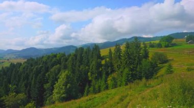 Kozalaklı kozalaklı ormanlardan oluşan bir panorama. Yüksek yaylalar ve yumuşak yamaçlardaki dağ çayırları, Verkhovyna, Karpatlar, Ukrayna