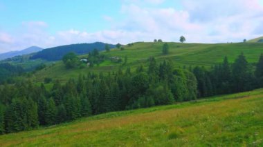 Karpatlar 'ın panoramik manzarası, kozalaklı ormanlarla kaplı yumuşak yamaçlar, biçilmiş otlaklar ve çiçek açan çayırlar, Verkhovyna, Ukrayna