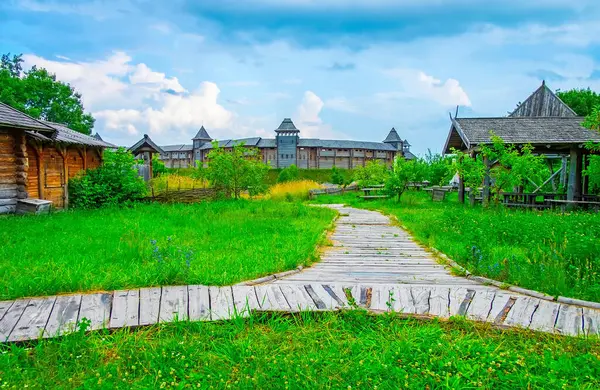 stock image The grounds of Kyiv Rus Park with Kyiv Detinets (Citadel), surrounded with lush green trees, tall grasses and wildflowers, Ukraine