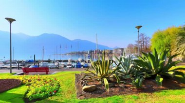 Maggiore Gölü, Locarno, Ticino, İsviçre kıyısında güzel yeşil agaveleri olan bahçe yatağı.