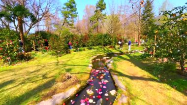 Yeşil çimleri, kıvrımlı deresi, çiçekli çalıları ve uzun gölgeli ağaçları olan Camellia Parkı manzarası, Locarno, İsviçre