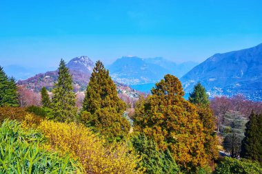 Lugano Prealps manzarası ve güzel yeşil San Grato Park, Carona, İsviçre 'den gök mavisi Lugano Gölü' nün tadını çıkarın.