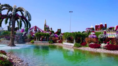 DUBAI, BAE - 5 Mart 2020: 5 Mart 'ta Dubai' de Miracle Garden 'da büyük bir kedi yerleşimi ve çiçek şatosu bulunan çeşmeli gölet