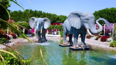 DUBAI, BAE - 5 Mart 2020: 5 Mart 'ta Dubai' de Mucize Bahçesi 'nin sığ göleti ve çiçek ve yeşil bitkilerle çevrili büyük fil çeşmesinin tadını çıkarın