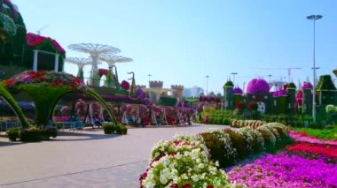 DUBAI, BAE - 5 Mart 2020: 5 Mart 'ta Dubai' deki Miracle Garden manzaralı sokakta petunya çiçekleri, dev güneş gözlükleri, gölgeli köşkler ve küçük kalenin kuleleri üzerinde yürüyün