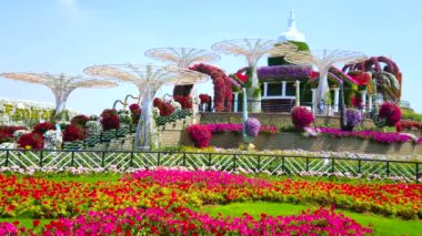 DUBAI, BAE - 5 Mart 2020: Renkli petunya çiçek yatakları, dev güneş gözlükleri ve Miracle Garden 'da beyaz kubbeli bir izleme köşkü, 5 Mart' ta Dubai 'de