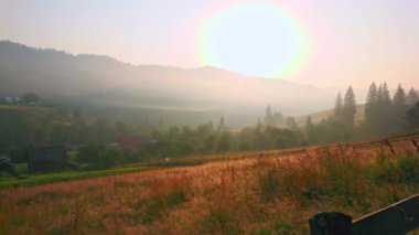 Karpatlar üzerinde gün doğumunun panoraması. Çayırın arkasındaki sisli dağlarda çiyler, çiyler, Dzembronia ve Ukrayna 'da kır çiçekleri.